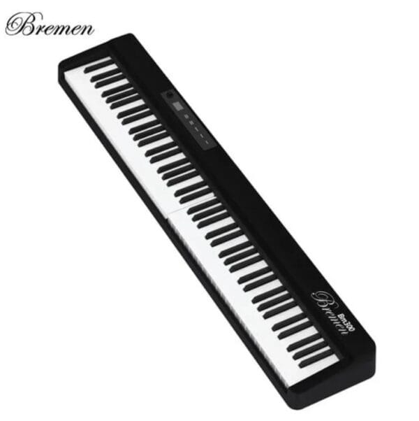 Piano Bremen BM300 (New)